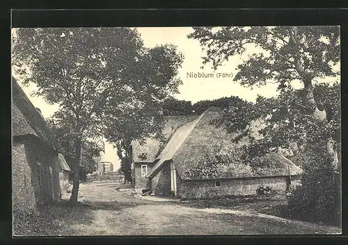 AK Nieblum (Föhr), Blick in die Dorfstrasse