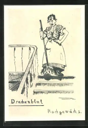 Künstler-AK sign. R. Bloos: Wein-Allegorie, Drachenblut - Hochgewächs, Reihe Wein Nr. 6