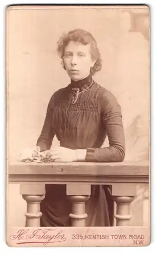 Fotografie H. J. Taylor, London, 335, Kentish Town Road, Portrait junge Dame im Kleid an Geländer gelehnt