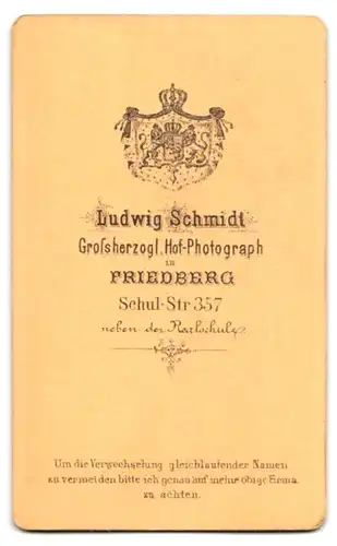 Fotografie Ludwig Schmidt, Friedberg, Schulstr. 357, Portrait beleibte, langhaarige Frau in gestreifter Bluse