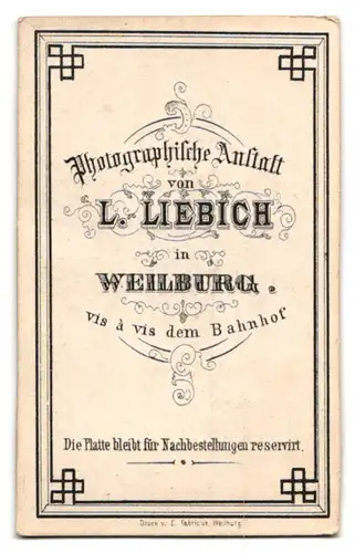 Fotografie L. Liebich, Weilburg, Portrait elegant gekleideter junger Mann mit Oberlippenbärtchen