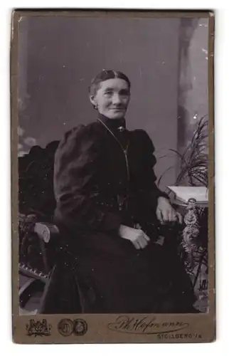 Fotografie Ph. Hofmann, Stollberg i. S., Portrait betagte schöne Frau im prachtvollen Kleid