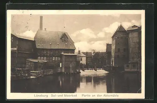 AK Lüneburg, Partie an der Abtsmühle