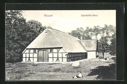 AK Husum, Ostenfelder-Haus