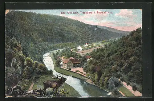 AK Bad Wildstein / Harz, Ortsansicht mit Hirsch