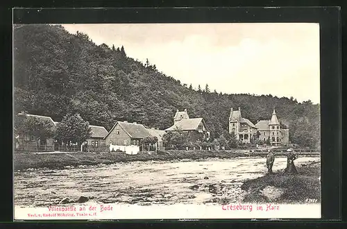 AK Treseburg / Harz, Villenpartie an der Bode