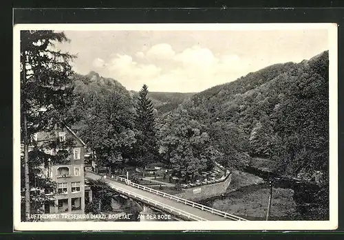 AK Treseburg / Harz, Partie an der Bode