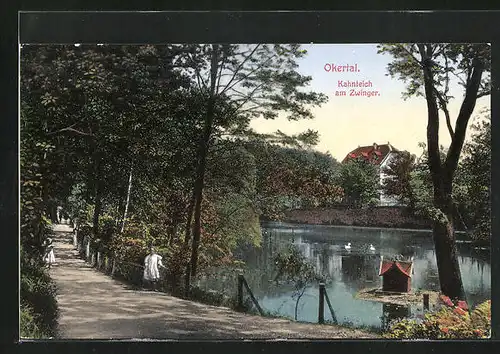 AK Okertal, Kahnteich am Zwinger