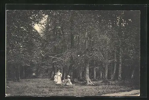 AK Kellenhusen, Waldpartie mit Ausflüglern