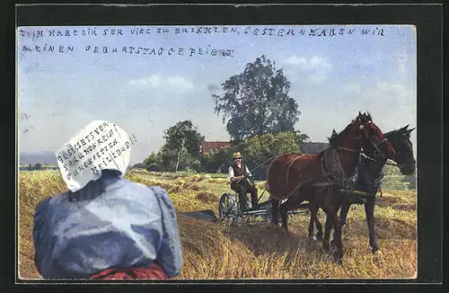 Künstler-AK Photochromie Nr. 2844: Bauer auf dem Pflug von Pferden gezogen