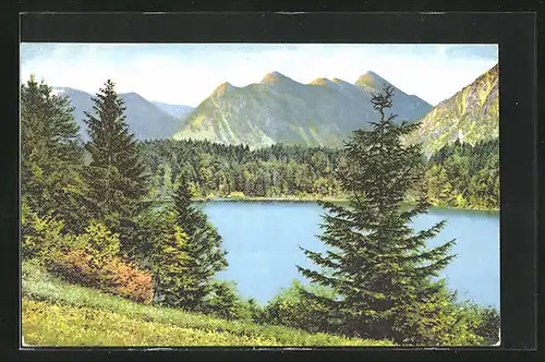 Künstler-AK Photochromie Nr. 3: Anblick einen Bergsees