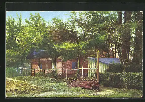 Künstler-AK Photochromie Serie 544 Nr. 1: Haus von Bäumen verdeckt