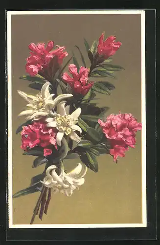 Künstler-AK Photochromie Nr. 1824: Gebunder Blumenstrauss mit vielen Farben