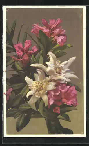 Künstler-AK Photochromie Nr. 1828: Gebunder zweifarbiger Blumenstrauss