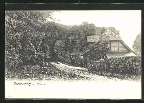 AK Israelsdorf, Dorfstrasse mit Gehöft