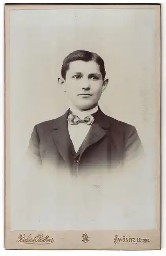 Fotografie Richard Büttner, Zwönitz i. Erzgeb., Portrait junger Mann im Anzug mit Krawatte