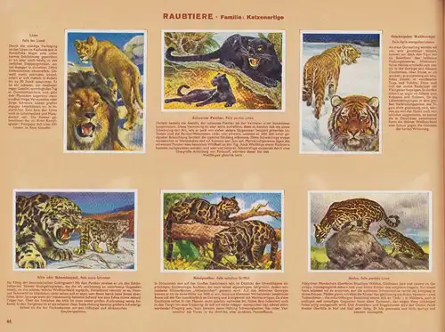 Sammelalbum 200 Bilder, Wunder der Tierwelt, Raubtiere, Affen, Wale, Nagetiere, Flossenfüsser