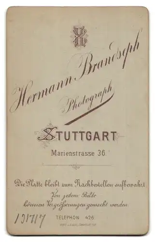 Fotografie H. Brandseph, Stuttgart, Marienstrasse 36, Portrait Mann mit Krawatte und gezwirbelten Schnauzbart