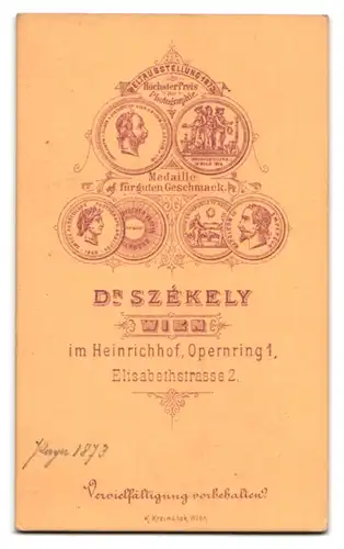 Fotografie Dr. Szekely, Wien, Opernring 1, Portrait Österreicher Vetteran mit Orden