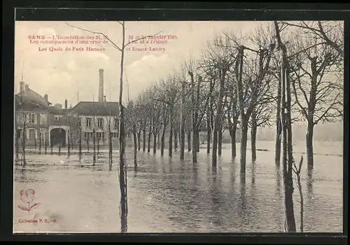 AK Sens, Inondations de Janvier 1910, Les Quais du Petit Hameau et Ernest Landry, Hochwasser