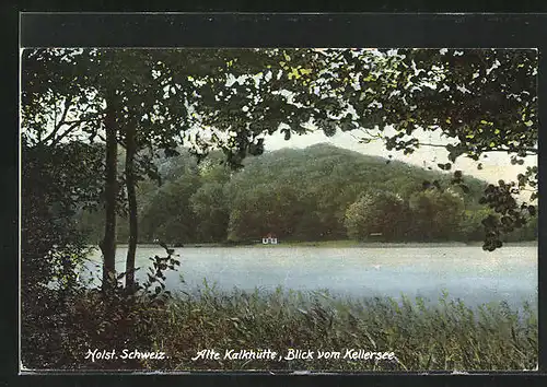 AK Eutin / Holst. Schweiz, Gasthaus Alte Kalkhütte, Blick vom Kellersee