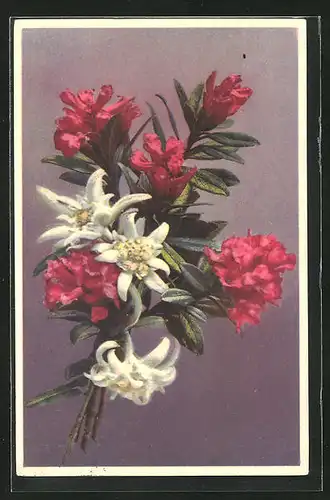 Künstler-AK Photochromie Nr. 1358: Blumenstrauss mit Edelweiss