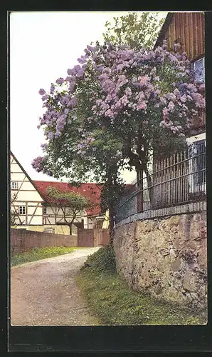 Künstler-AK Photochromie Nr. 4900: Spaziergang im Frühling