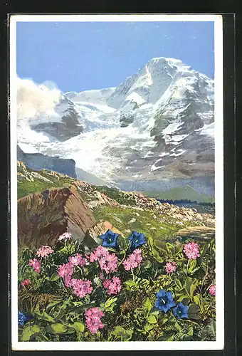 Künstler-AK Photochromie Nr. 1480: Kl. Scheidegg, Mehlprimel und stengelloser Enzian im Berner Oberland