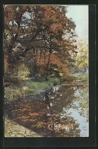 Künstler-AK Photochromie Nr. 2064: Herbstidylle am See