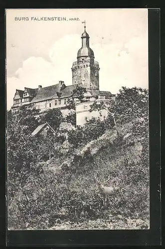 AK Selketal / Harz, Burg Falkenstein mit Hirsch