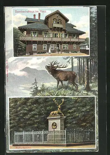 AK Thale / Harz, Dambachshaus und Pfeil`s Denkmal