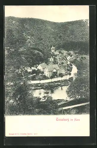 AK Treseburg i. Harz, Ort am Fluss gelegen