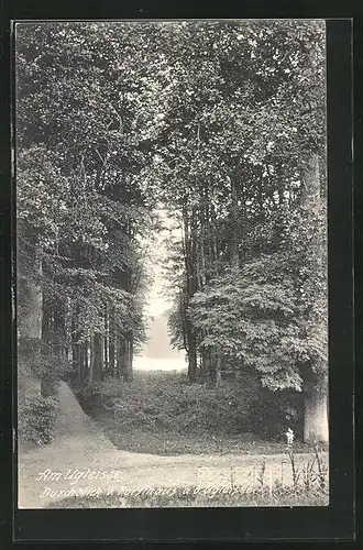 AK Ugleisee, Blick vom Forsthaus auf den See