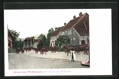 AK Wolfshagen, Dorfstrasse mit Kuhherde