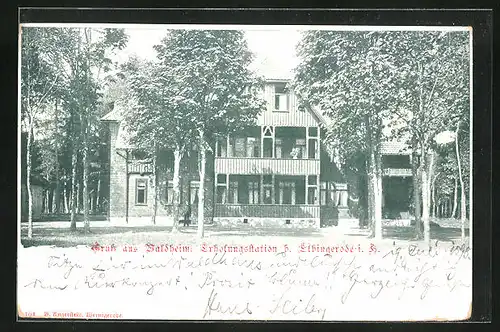 AK Elbingerode, Hotel Waldheim