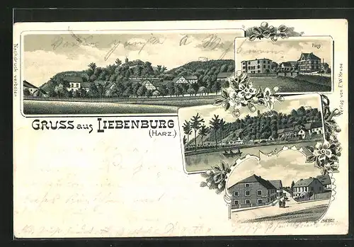 Lithographie Liebenburg / Harz, Totalansicht mit Schloss und Post, Ortspartie