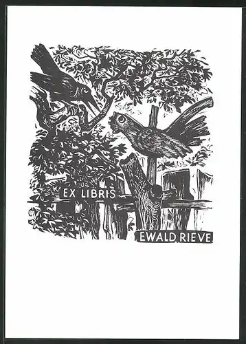 Exlibris Ewald Rieve, Rabe auf Ast