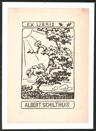 Exlibris Albert Schilthuis, Landschaft mit Baum und Sonne