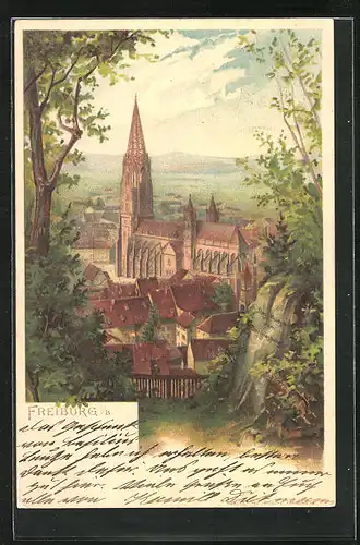 Künstler-AK Carl Biese: Freiburg i. Br., Panorama mit Münster