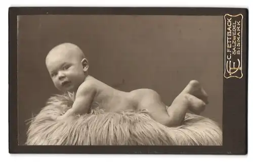 Fotografie C. Fettback, Salzwedel, Neuperverstrasse 28, Portrait nackiges Kleinkind bäuchlings auf Fell liegend