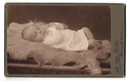 Fotografie Th. Alfr. Hahn, Chemnitz, Brückenstrasse 5, Portrait niedliches Kleinkind im weissen Hemd auf Fell liegend