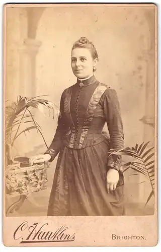 Fotografie C. Hawkins, Brighton, 32, 33 & 38 Preston Street, Portrait junge Dame in zeitgenössicher Kleidung