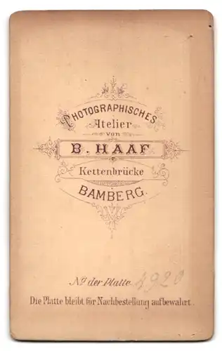 Fotografie B. Haaf, Bamberg, Portrait betagter Herr mit langem Vollbart