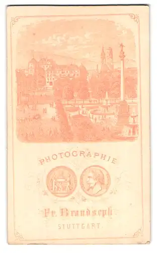 Fotografie Fr. Brandseph, Stuttgart, Ansicht Stuttgart, Jubiläumssäule auf dem Schlossplatz