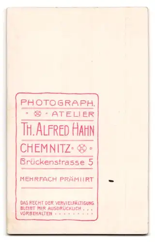 Fotografie Th. Alfred Hahn, Chemnitz, Brückenstrasse 5, Portrait Soldat mit Schützenschnur, Musiker, Schwalbennester