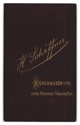Fotografie H. Schäffner, Mühlhausen i. Th., neben Weymars Felsenkeller, Portrait Ufz. in Uniform mit Walrossbart