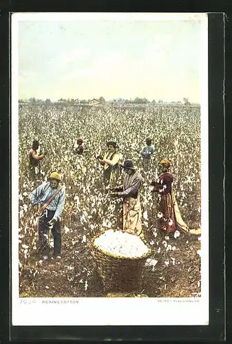 AK Picking Cotton, Baumwollpflücker bei der Arbeit
