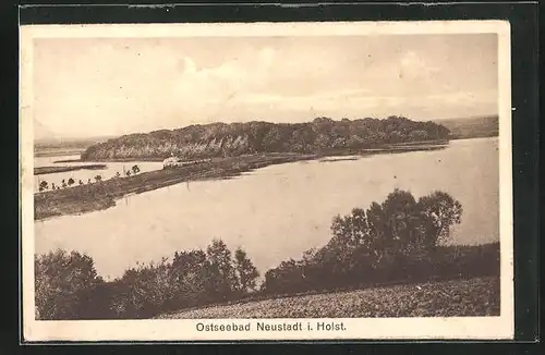 AK Neustadt / Holstein, Zug zum Ostseebad