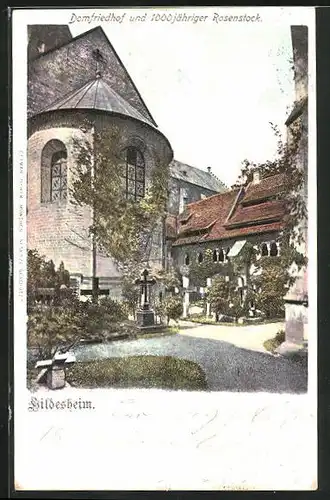 AK Hildesheim, Domfriedhof und 1000 jähriger Rosenstock