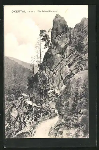 AK Okertal /Harz, Wanderweg an den Adler-Klippen